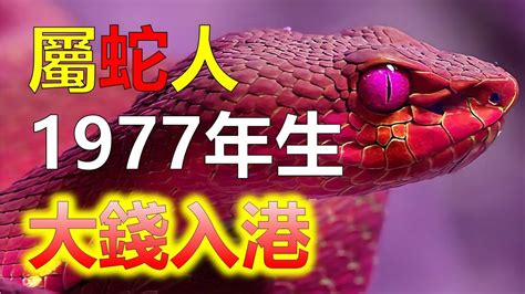 1977年屬蛇|生肖蛇: 性格，愛情，2024運勢，生肖1989，2001，2013